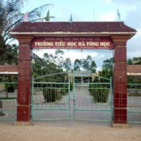 Giáo dục - du học - Thu vượt quy định, hiệu trưởng bị tố