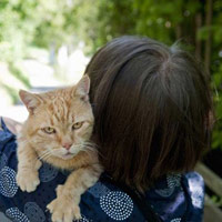 Sức khỏe đời sống - Nuôi mèo giúp giảm nguy cơ ung thư