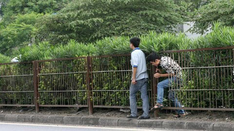 Thót tim cảnh "xé rào" băng qua quốc lộ 5 - 10