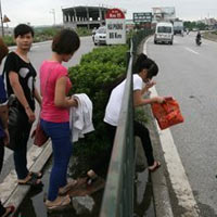 Tin tức trong ngày - Thót tim cảnh "xé rào" băng qua quốc lộ 5