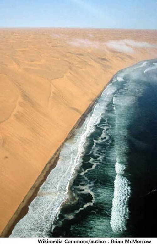 Cô gái ăn mặc kỳ lạ trên phố - 4