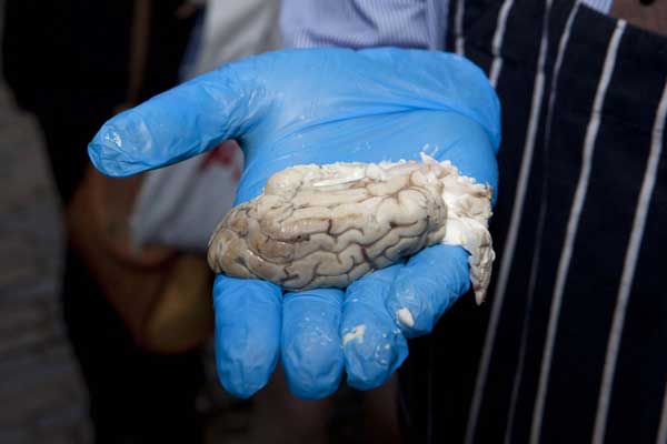 Kinh dị: Bánh mì kẹp não bê - 3