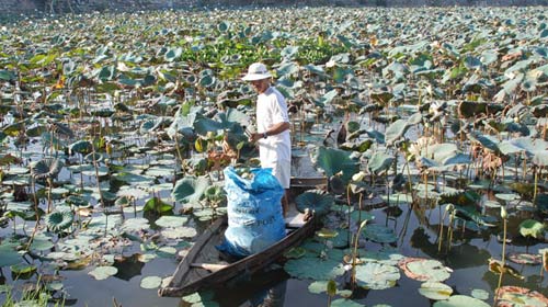 Cú sốc dioxin ở Đà Nẵng - 1