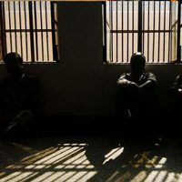 Pháp luật - Đi tù bằng tên của chị