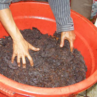 Tin tức trong ngày - Hãi hùng "phù phép" lòng bò thành khô bò