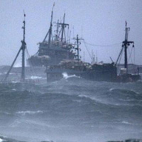 Tin tức trong ngày - 28 ngư dân TQ mất tích tại Hàn Quốc