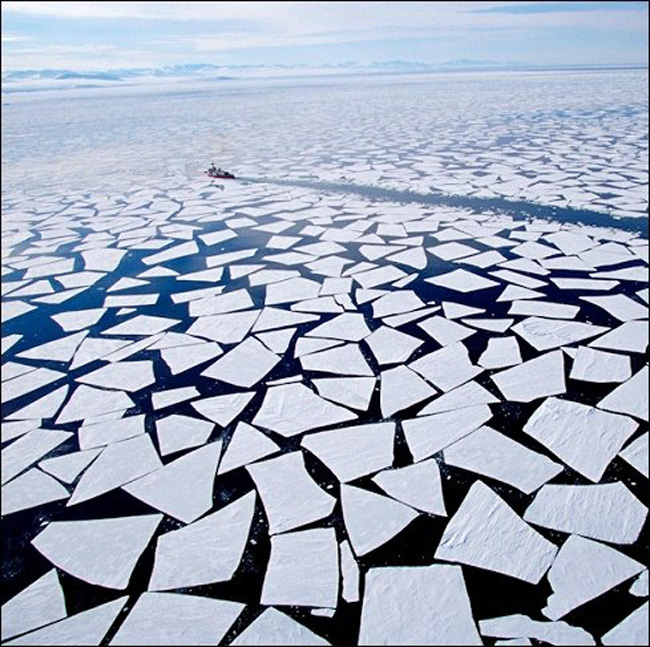Những khối băng nổi trong vùng McMurdo Sound ở Nam Cực. Sự phá vỡ băng tạo nên những hình ảnh khác lạ, khiến người ta nghĩ đó là một bức tranh.