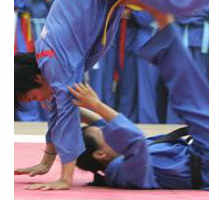 Thể thao - 30 đoàn dự Giải VĐ võ thuật cổ truyền VN lần thứ 22