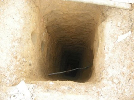 Kỹ năng "tồn tại" của phu vàng - 2