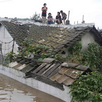 Tin tức trong ngày - Triều Tiên đối mặt khủng hoảng lương thực