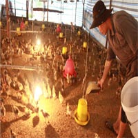 Kinh doanh - Mòn mỏi chờ vốn rẻ