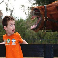 Video cười: Sự vô tình trên sự cố tình! - 7