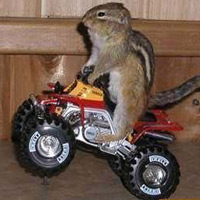 Video cười: Sự vô tình trên sự cố tình! - 8