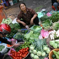 Sức khỏe đời sống - Nguy cơ nhiễm trùng Amip "ăn não" do rau bẩn