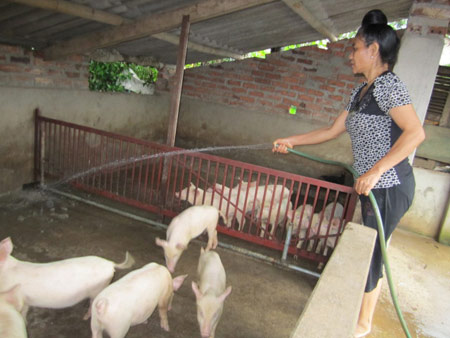 Về “làng rượu - thịt” sung túc - 1