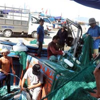 Tin Đà Nẵng - Tàu cá đỏ mắt tìm “bạn”