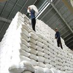 Thị trường - Tiêu dùng - “VN có nguy cơ mất ngôi á quân XK gạo”