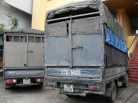 Hơn 26.000 gà giống Trung Quốc vượt biên - 2