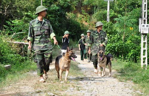 Lũ quét ở Lào Cai: Tìm thấy nạn nhân thứ 7 - 4