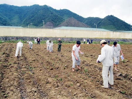 Những số phận ở trung tâm 05-06 - 2