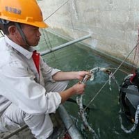 Tin tức trong ngày - Giả thiết về trận động đất ở Quảng Nam