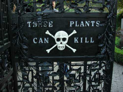 Ngắm khu vườn độc dược ở Anh - 1