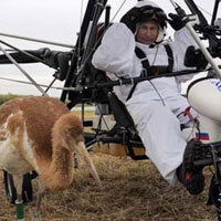 Tin tức trong ngày - Xem Tổng thống Putin bay cùng sếu trắng