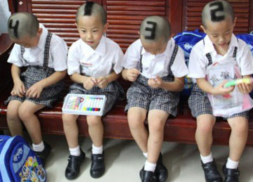 TQ: Cắt tóc đánh số để phân biệt các con - 1