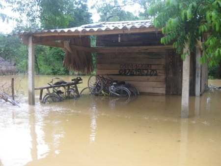 Hàng nghìn nhà ngập, 700 người phải di dời - 2