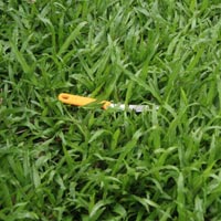 Pháp luật - Truy sát kinh hoàng làm 2 người chết