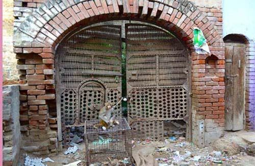 Đột nhập xưởng chế nước hoa tại Ấn Độ - 7