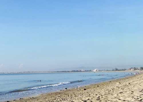 Thăm vựa nho Phan Rang - 3