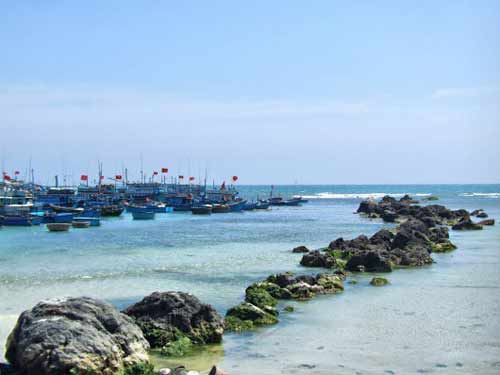 Thăm vựa nho Phan Rang - 5