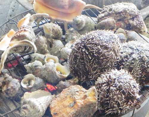 Thăm vựa nho Phan Rang - 11