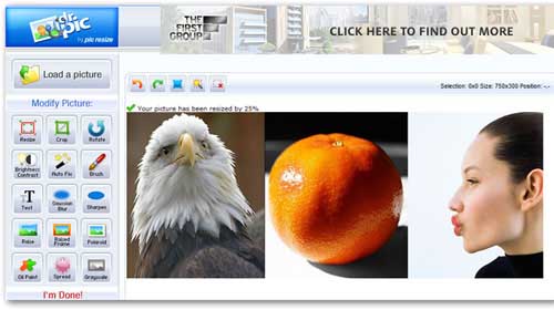 Top 12 sites giúp thay thế ứng dụng Photoshop - 10