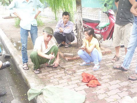 Công khai bán rắn trên vỉa hè Thủ đô - 2