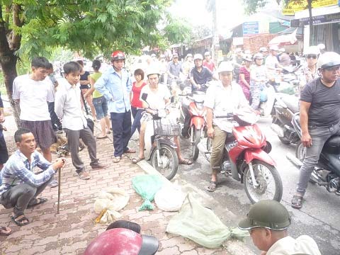 Công khai bán rắn trên vỉa hè Thủ đô - 4