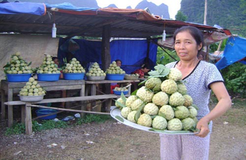 Na Lạng Sơn được mùa, được giá - 1