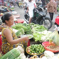 Thị trường - Tiêu dùng - Chọn rau sạch kiểu may rủi