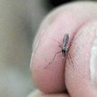 Lý do tại sao đàn ông thích nhậu? - 5