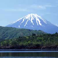 Du lịch - Khu rừng chết chóc ở chân núi Phú Sĩ