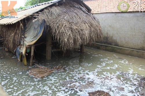 Tan hoang rốn lũ sau vỡ đê ở Thanh Hóa - 13