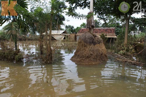 Tan hoang rốn lũ sau vỡ đê ở Thanh Hóa - 6