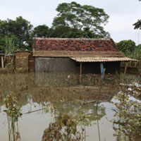 Tin tức trong ngày - Tan hoang rốn lũ sau vỡ đê ở Thanh Hóa