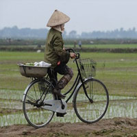 Tài chính - Bất động sản - Luật Đất đai 2013: Không để “đa sở hữu”?