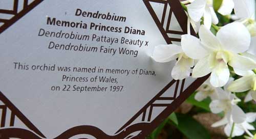 Công nương Kate Middleton lần đầu tới châu Á - 3