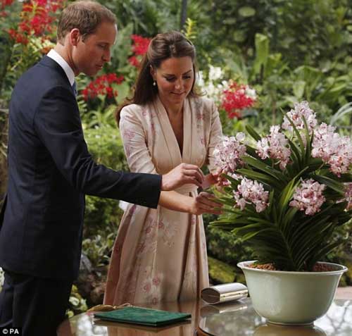 Công nương Kate Middleton lần đầu tới châu Á - 6
