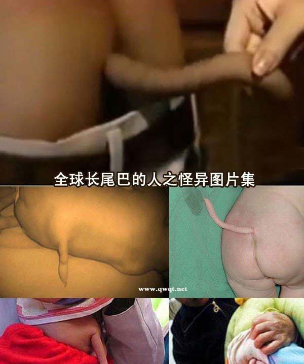 Xôn xao với ảnh mỹ nữ... mọc đuôi - 4