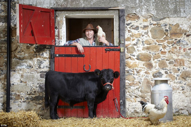 Chú chó bull có tên gọi Archie, đến từ County Antrim, Bắc Ireland với chiều cao 76,2cm
