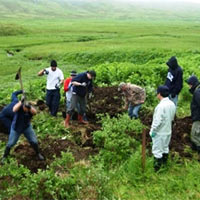 Pháp luật - Bắt nghịch tử sát hại mẹ rồi chôn xác